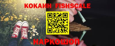гашик Кулебаки
