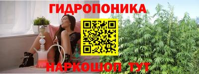 ПСИЛОЦИБИНОВЫЕ ГРИБЫ Лесосибирск