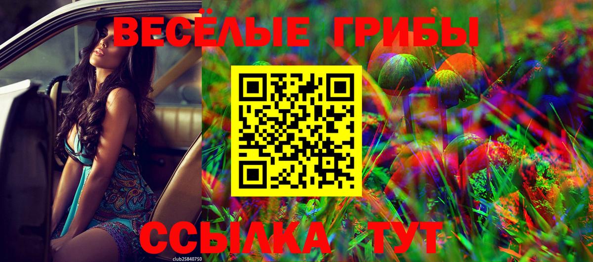 Галлюциногенные грибы мицелий Карпинск