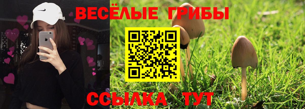 где купить наркоту  Галлюциногенные грибы мицелий  Вход с VPN  Карпинск  Галлюциногенные грибы Magic Shrooms 